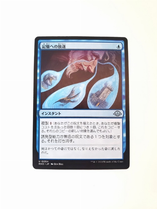 Consign to Memory (Japonaise)