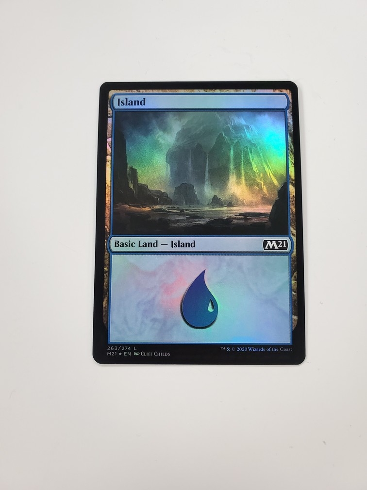 Island (263) (Foil)