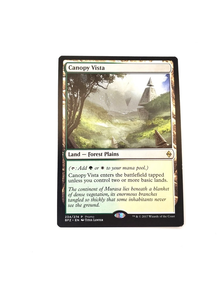 Canopy Vista