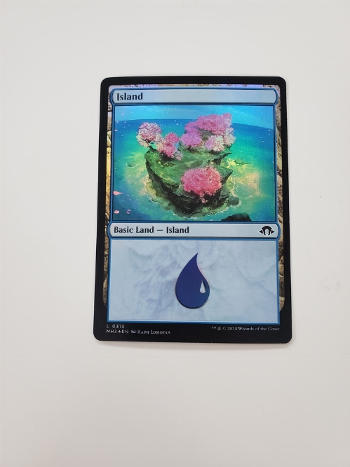 Island (0313) (Foil)