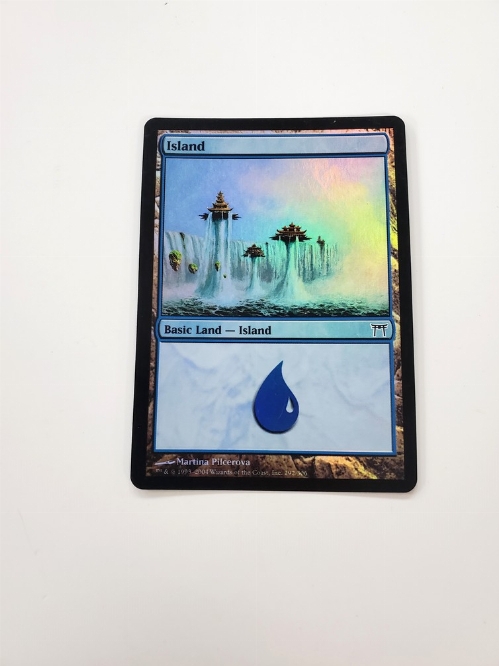 Island (292) (Foil)