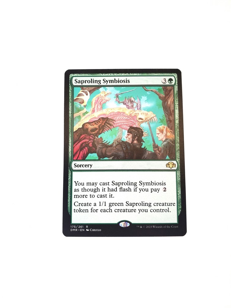 Saproling Symbiosis