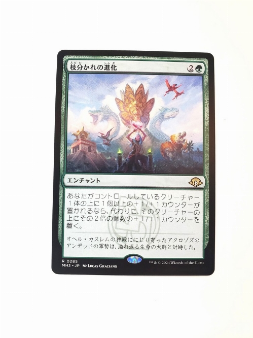 Branching Evolution (Japonaise)