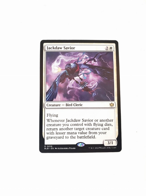 Jackdaw Savior