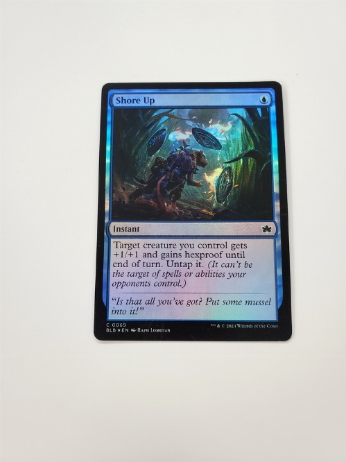 Shore Up (Foil)