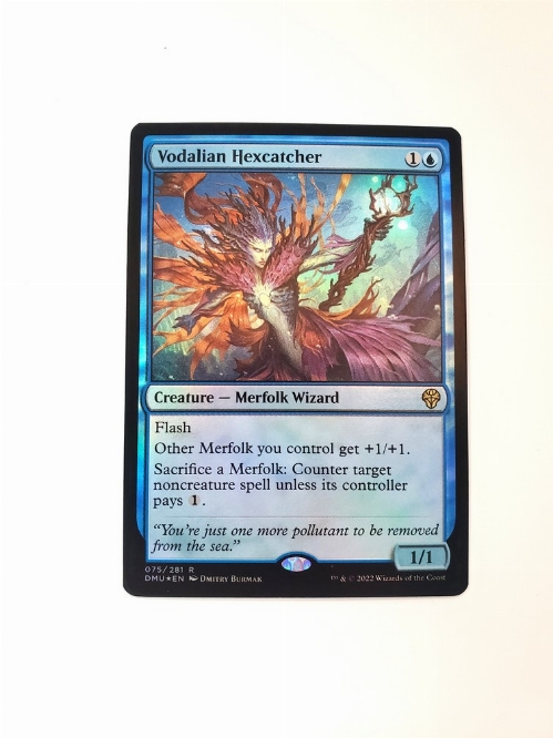 Vodalian Hexcatcher (Foil)