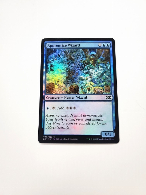 Apprentice Wizard (Foil)