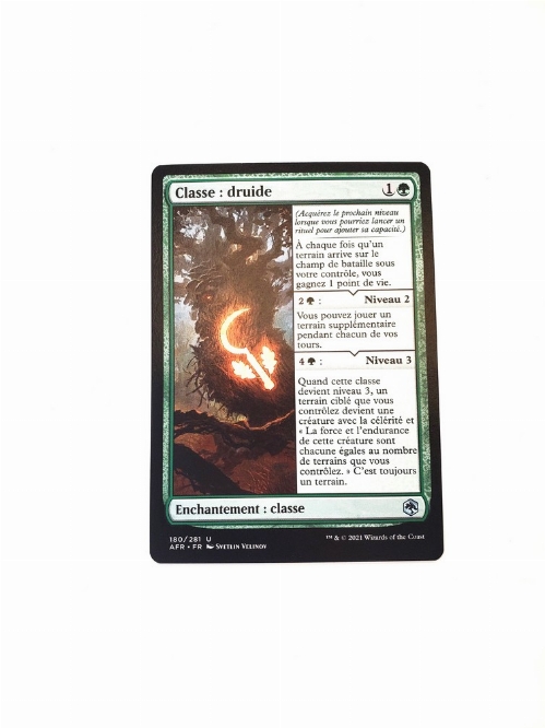 Druid Class (Francaise)