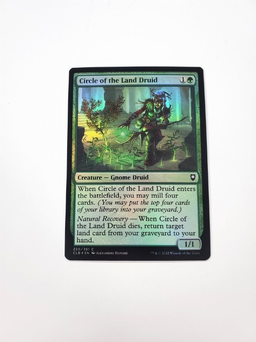 Circle of the Land Druid (Foil)