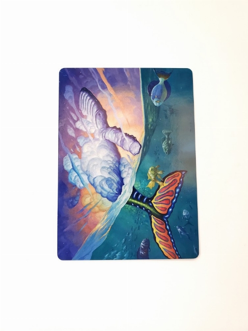 Dreamtide Whale - Art Card