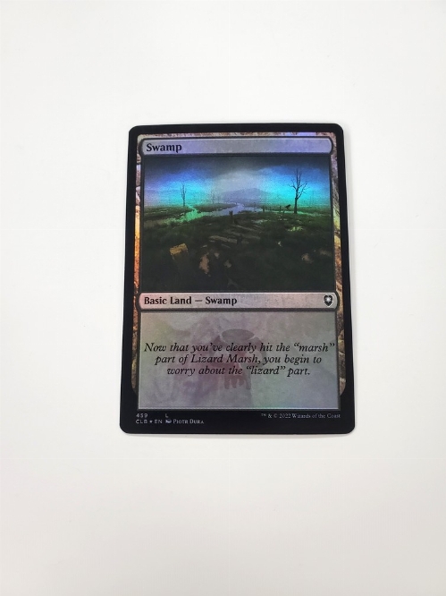 Swamp (459) (Foil)