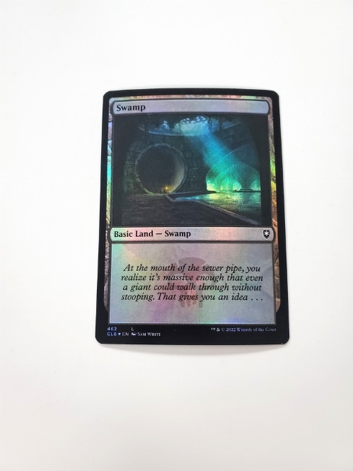 Swamp (462) (Foil)