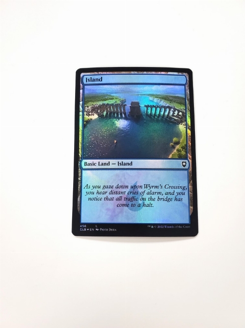 Island (456) (Foil)