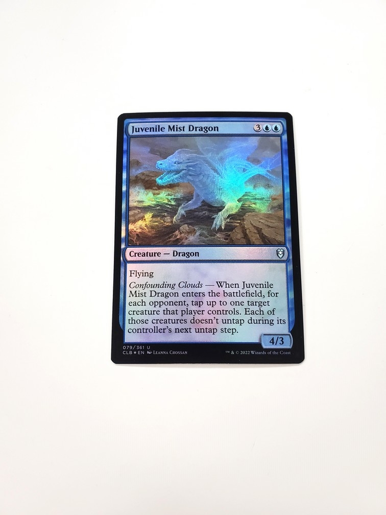 Juvenile Mist Dragon (Foil)