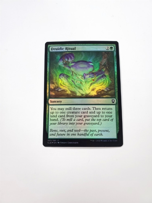 Druidic Ritual (Foil)