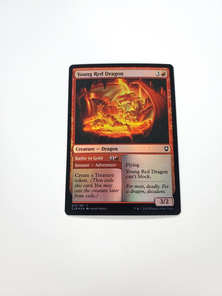 Young Red Dragon // Bathe in Gold (Foil)