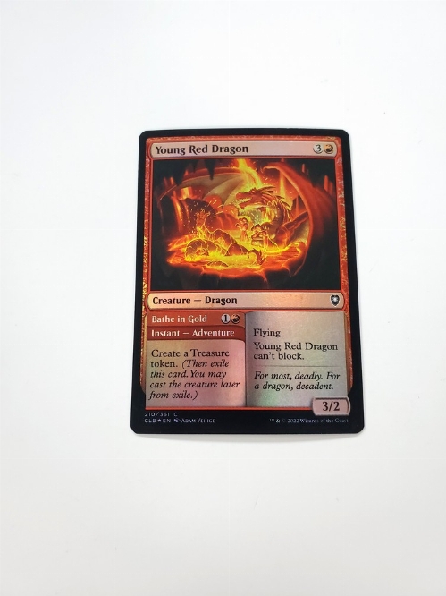 Young Red Dragon // Bathe in Gold (Foil)