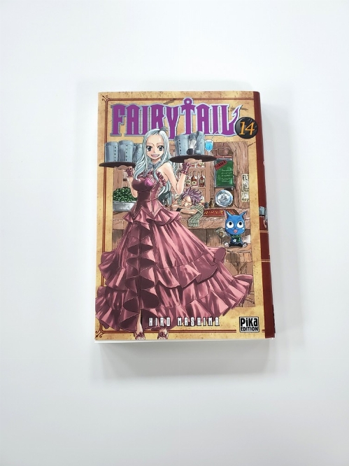 Fairy Tail (Vol.14) (Francais)