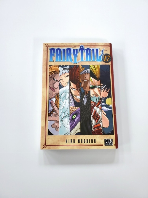 Fairy Tail (Vol.17) (Francais)