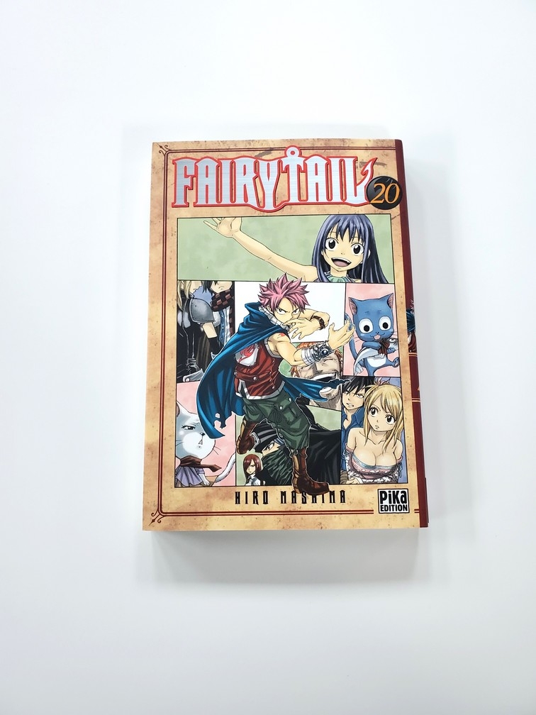 Fairy Tail (Vol.20) (Francais)