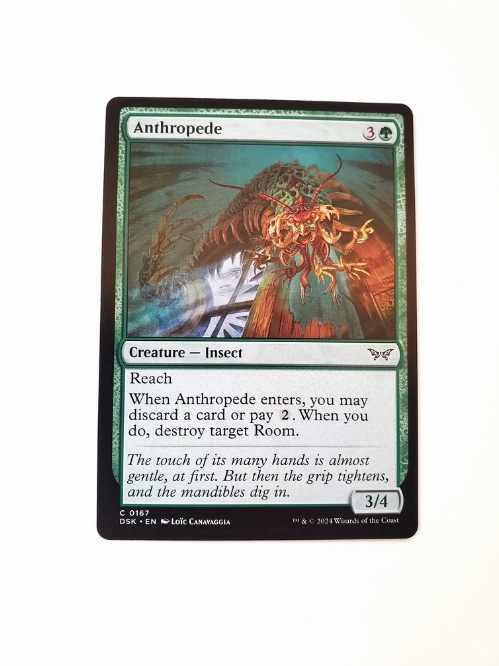 Anthropede
