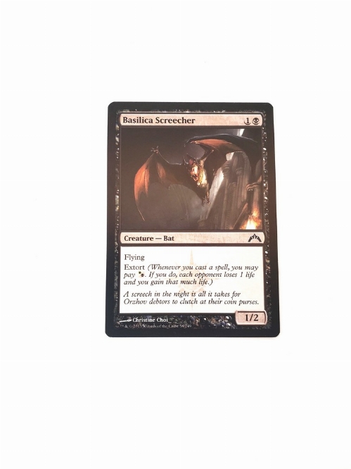 Basilica Screecher