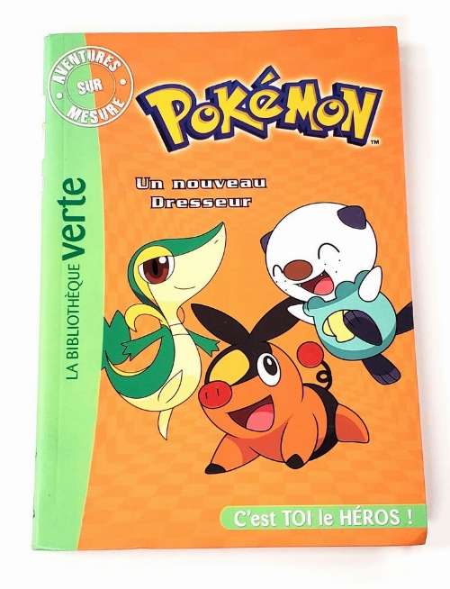 Pokémon: Un Nouveau Dresseur (Francais)