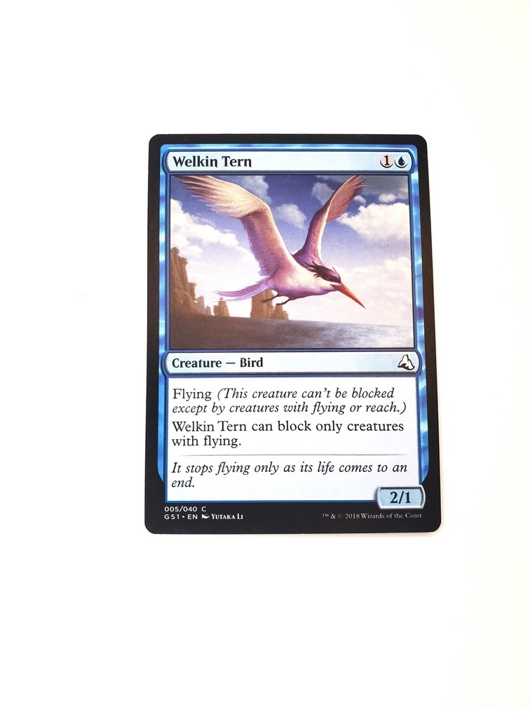 Welkin Tern
