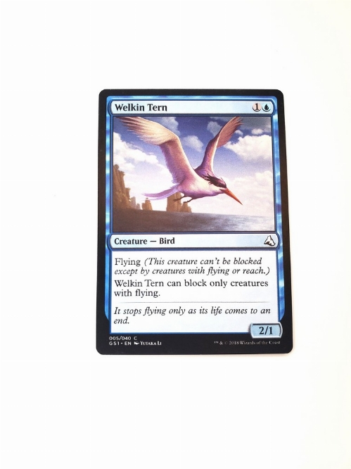 Welkin Tern