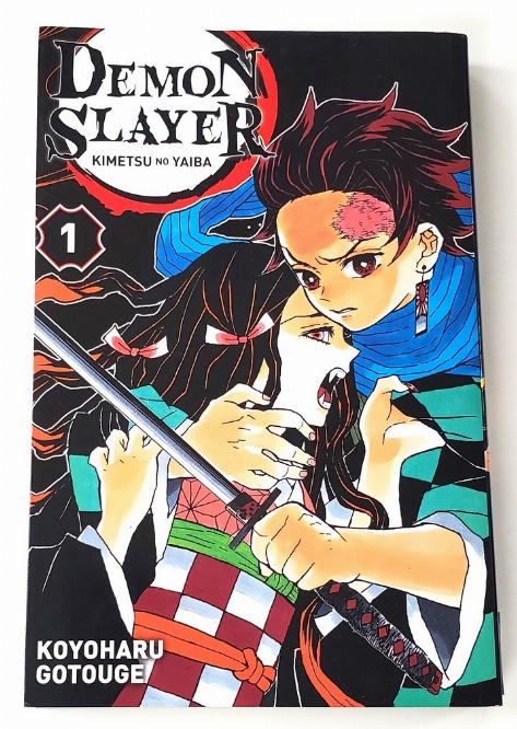 Demon Slayer (Vol.1) (Francais)
