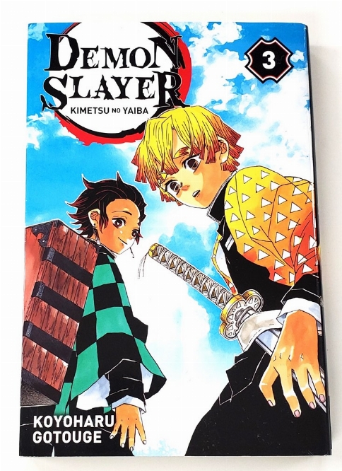Demon Slayer (Vol.3) (Francais)