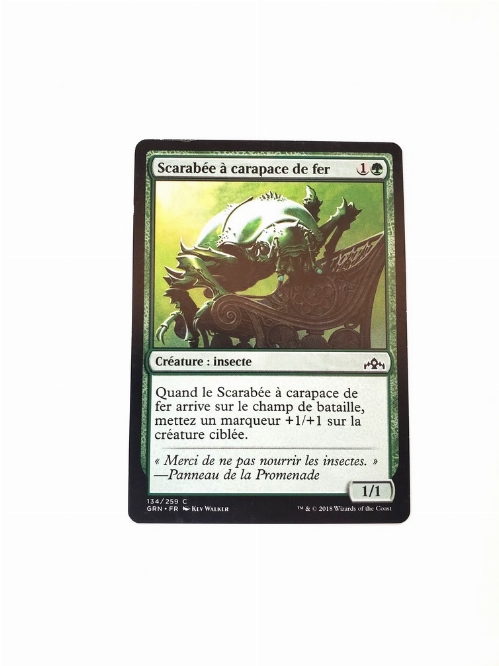 Ironshell Beetle (Francaise)