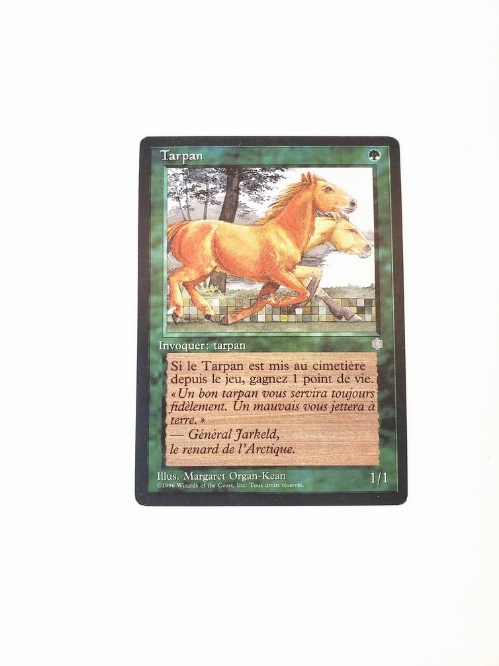 Tarpan (Francaise)