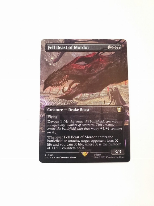 Fell Beast of Mordor (Borderless)