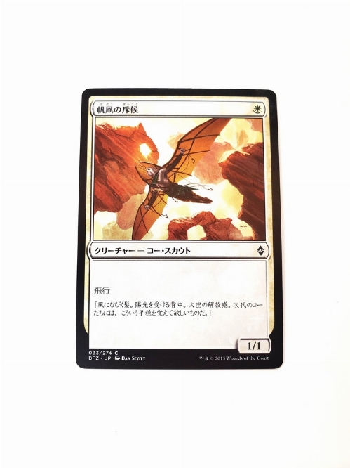 Kitesail Scout (Japonaise)