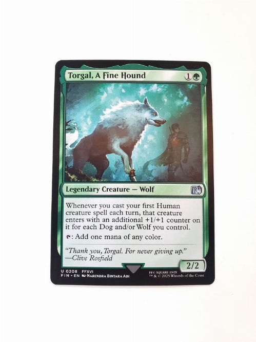 Torgal, A Fine Hound