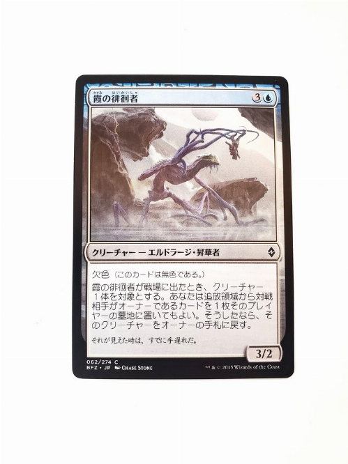 Murk Strider (Japonaise)