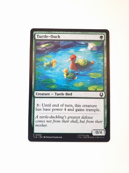 Turtle-Duck