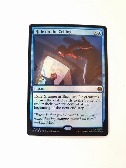 Hide on the Ceiling (Foil)