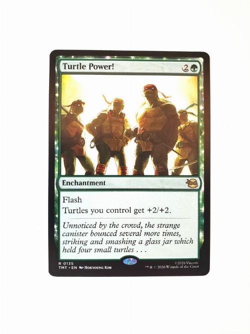 Turtle Power!