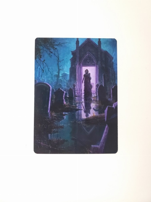 Swamp - Art Card