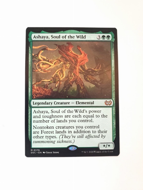 Ashaya, Soul of the Wild