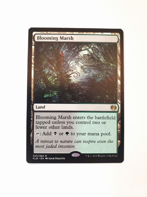 Blooming Marsh