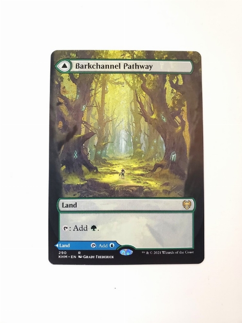 Barkchannel Pathway // Tidechannel Pathway (Borderless)