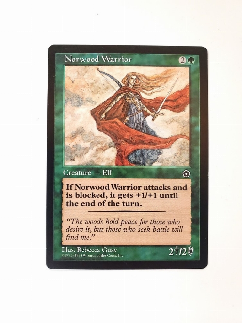Norwood Warrior