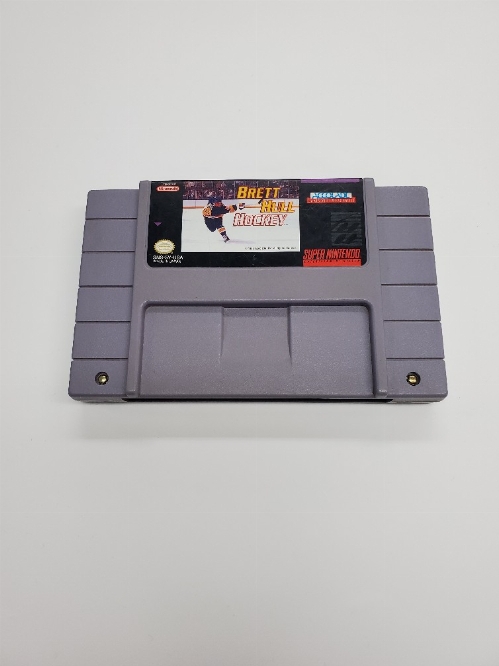 Brett Hull Hockey (C)