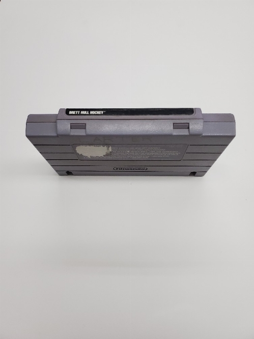 Brett Hull Hockey (C)