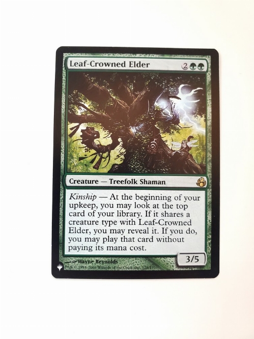 Leaf-Crowned Elder