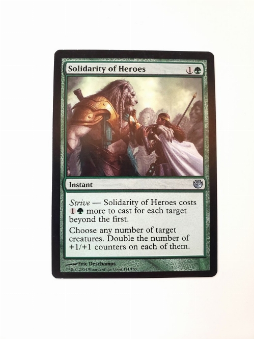 Solidarity of Heroes