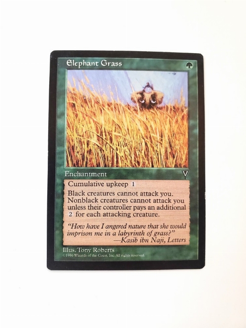 Elephant Grass